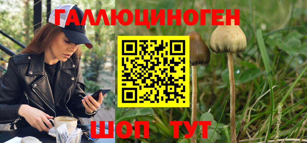 Галлюциногенные грибы ЛСД Осинники