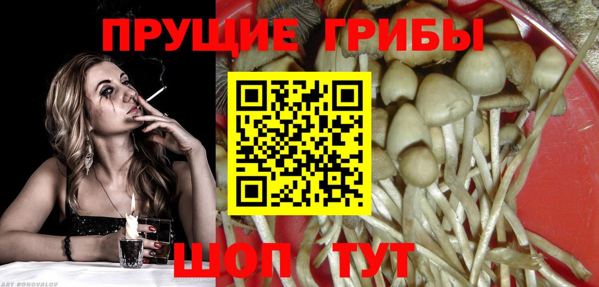 Осинники  Галлюциногенные грибы Cubensis  Псилоцибиновые грибы Magic Shrooms  Вход с VPN 